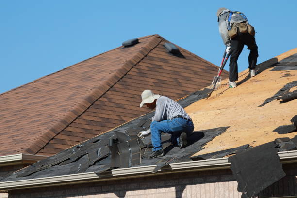 Best Steel Roofing  in Itta Bena, MS